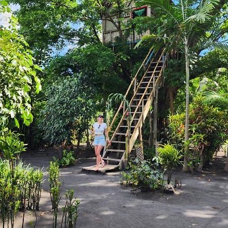 Tanna Volcano View Tree House Lenkuru Exteriör bild