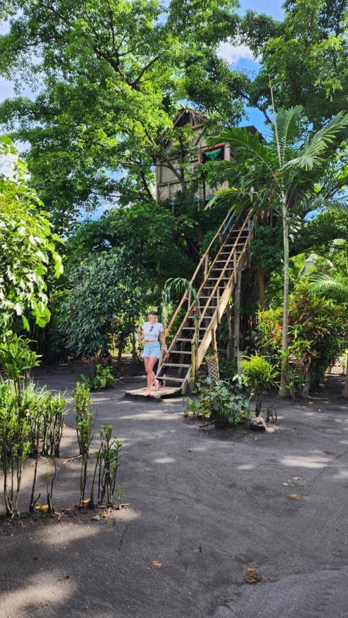 Tanna Volcano View Tree House Lenkuru Exteriör bild