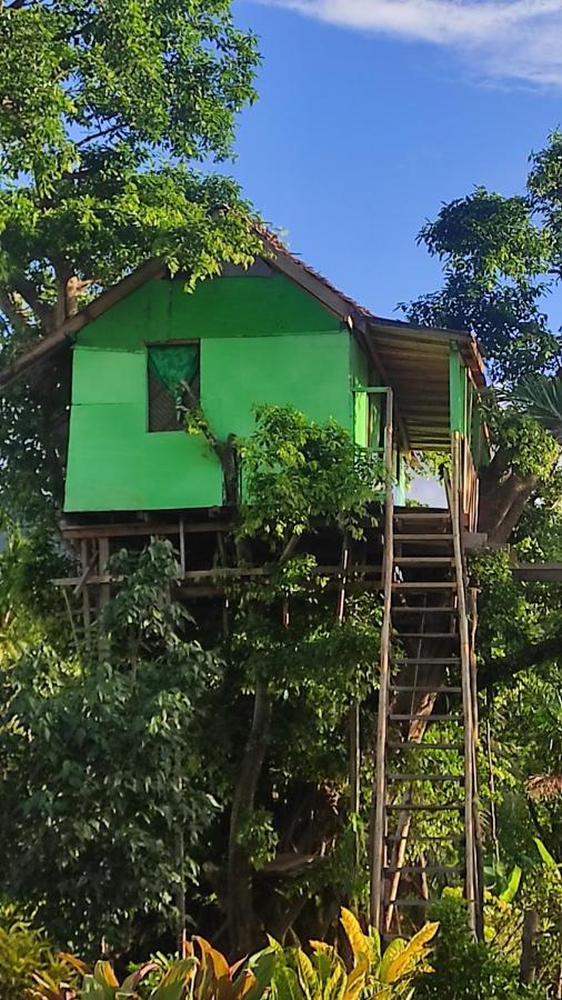 Tanna Volcano View Tree House Lenkuru Exteriör bild